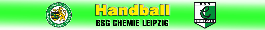 Handball BSG Chemie